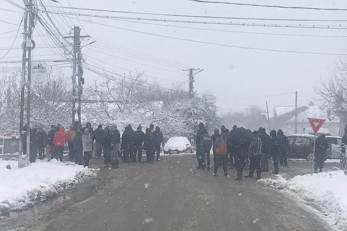 A doua zi de răscoală, la Rusăneşti-Olt, unde oamenii au blocat drumul şi nu-i lasă pe veterinari să le omoare porcii - FOTO