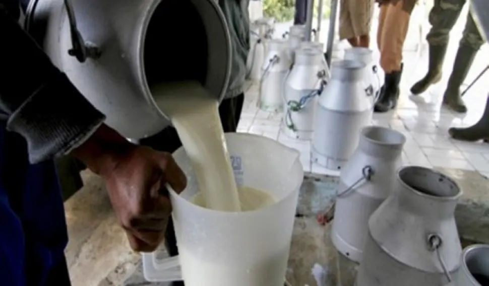 Zeci de kilograme de lactate şi brânzeturi, reținute de la comercializare, în Olt