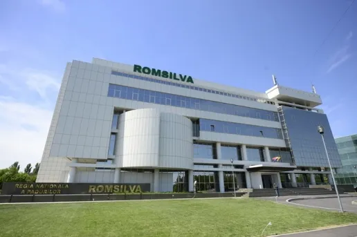 Ministra Mediului va convoca de urgenţă conducerea Romsilva în urma raportului ANAP