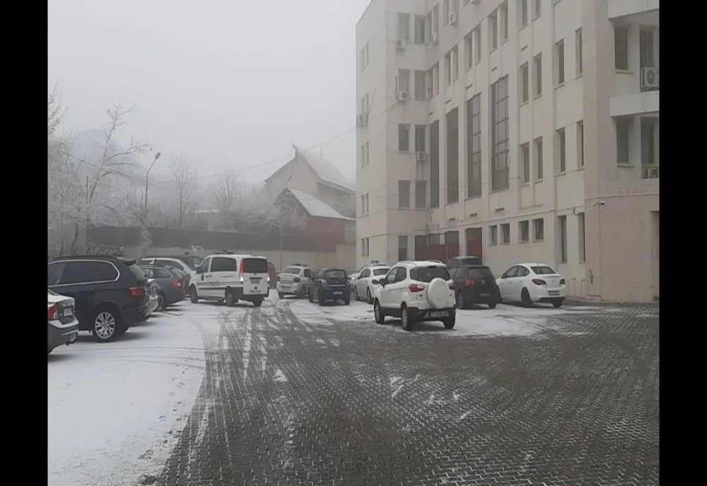 Cazul Caracal | Dincă şi Risipiţeanu rămân în arest preventiv
