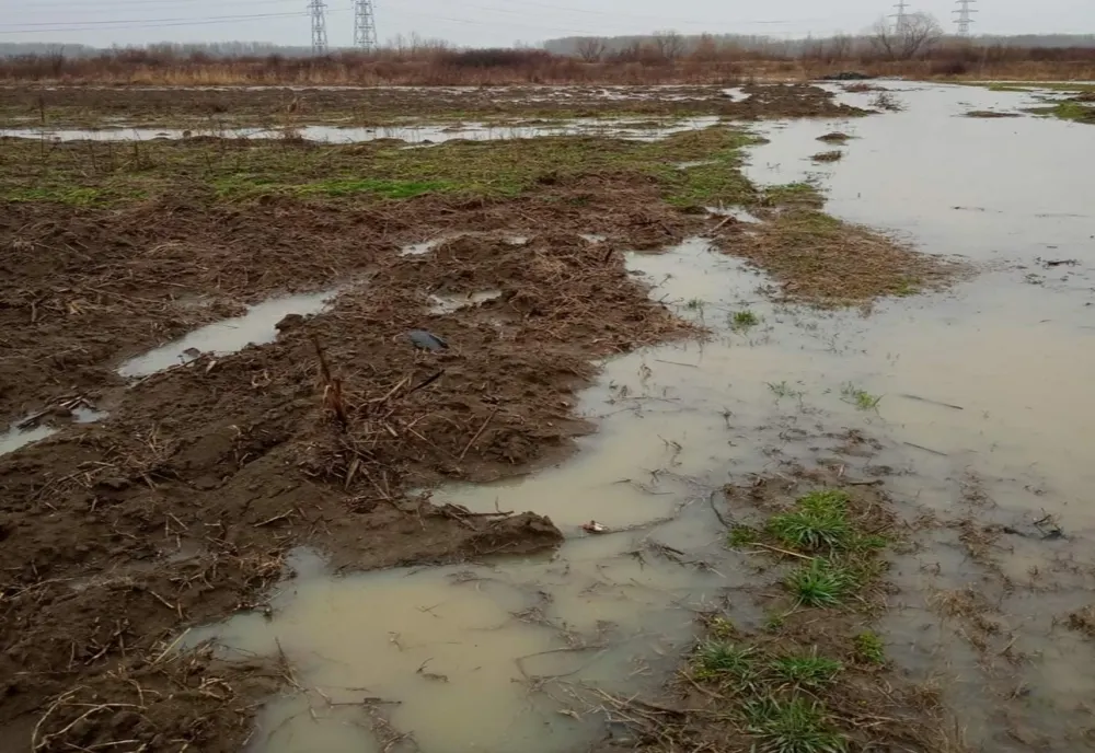 Inundaţii în trei localităţi din Olt