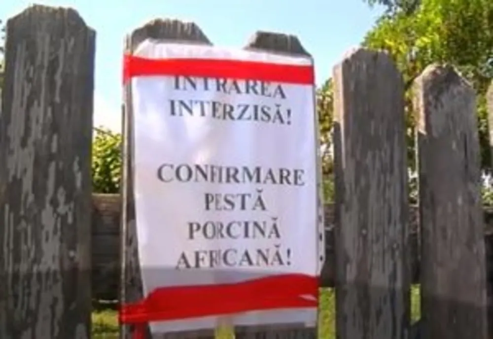 Județul Gorj se află pe locul al doilea în țară în ceea ce privește focarele de pestă porcină africană