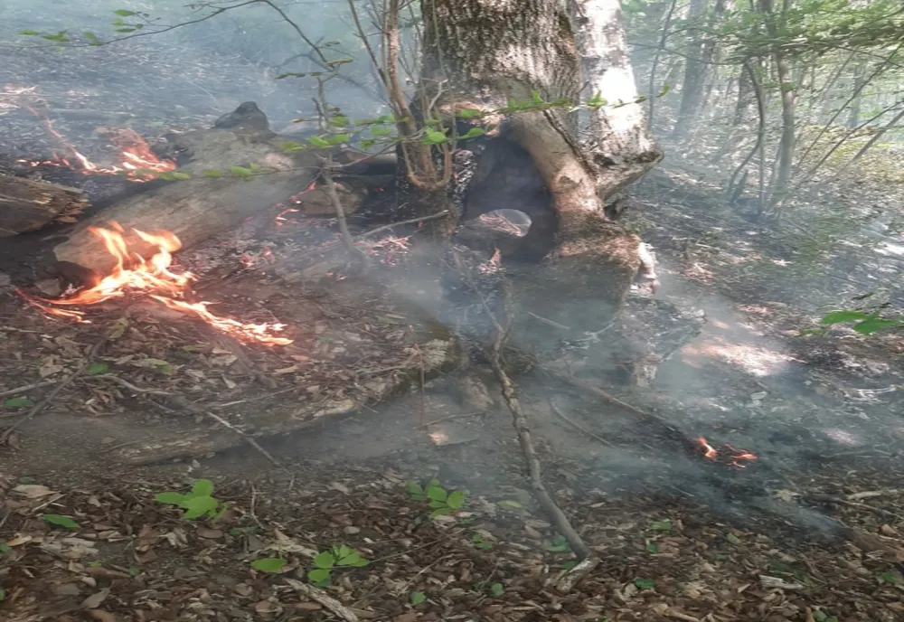 Pompierii atrag atenția cetăţenilor asupra situațiilor în care se poate evita producerea unor incendii în această perioadă
