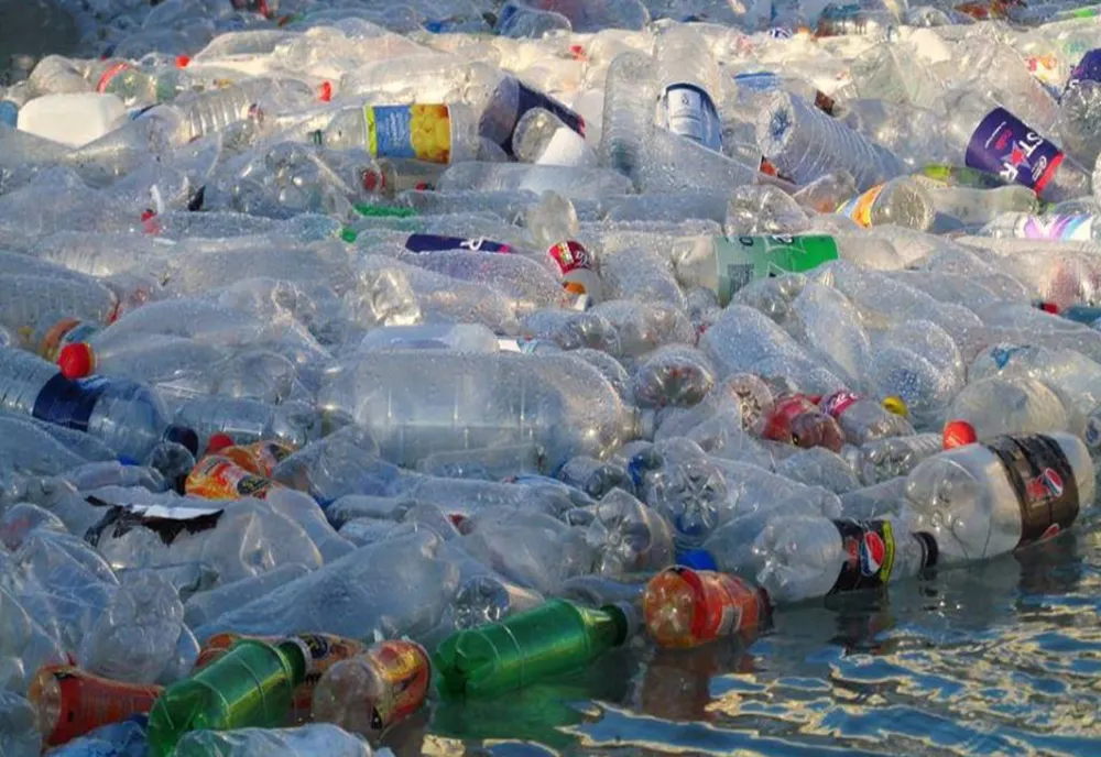 Țara care interzice plasticul de unică folosinţă pentru a combate poluarea
