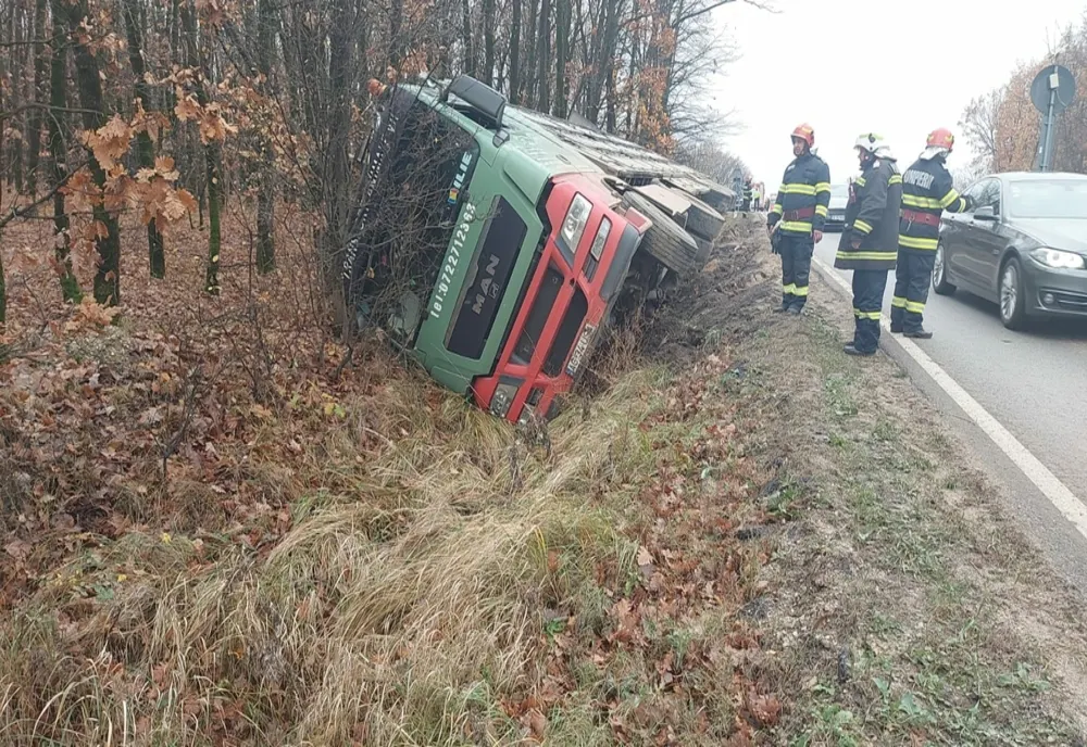 TIR încărcat cu porci, răsturnat în judeţul Olt (VIDEO)