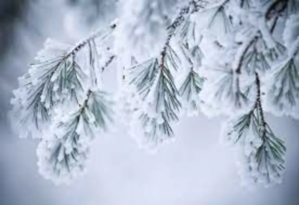 ANM: Weekend cu ninsori și lapoviță în toată țara. Temperaturi de primăvară începând de săptămâna viitoare