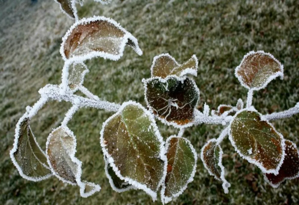 VREMEA 18 NOIEMBRIE. PRECIPITAȚII IZOLATE ȘI TEMPERATURI APROPIATE DE NORMALUL PERIOADEI