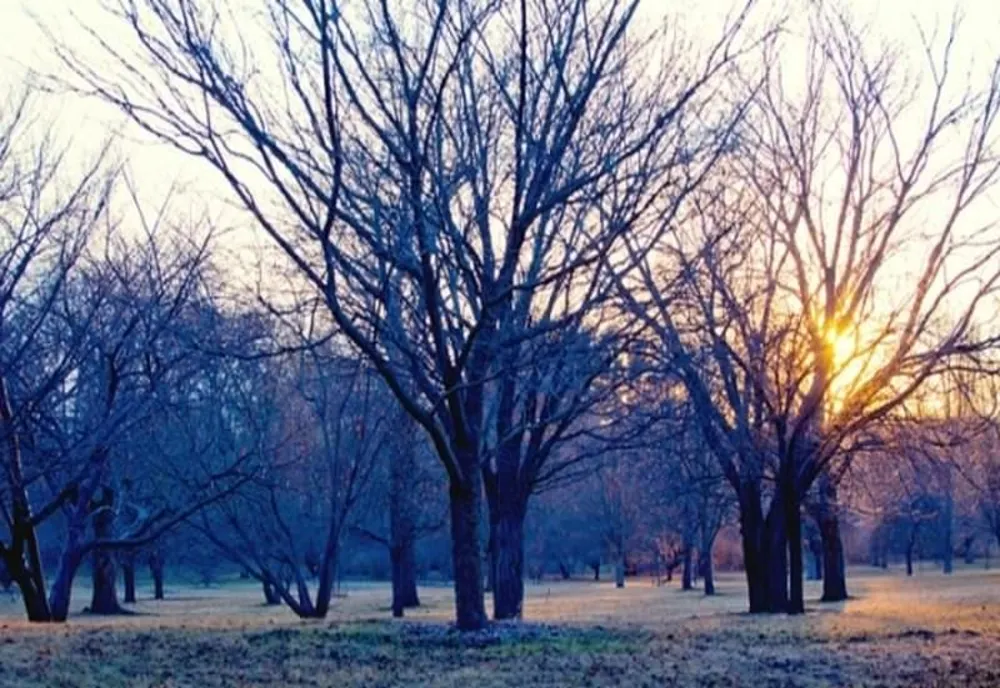 VREMEA 19 DECEMBRIE. TEMPERATURI PESTE NORMALUL PERIOADEI