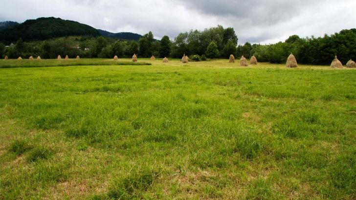 Ministerul Mediului: Ideea că fermierii ar urma să fie excluși din zonele prioritare pentru biodiversitate reprezintă o dezinformare