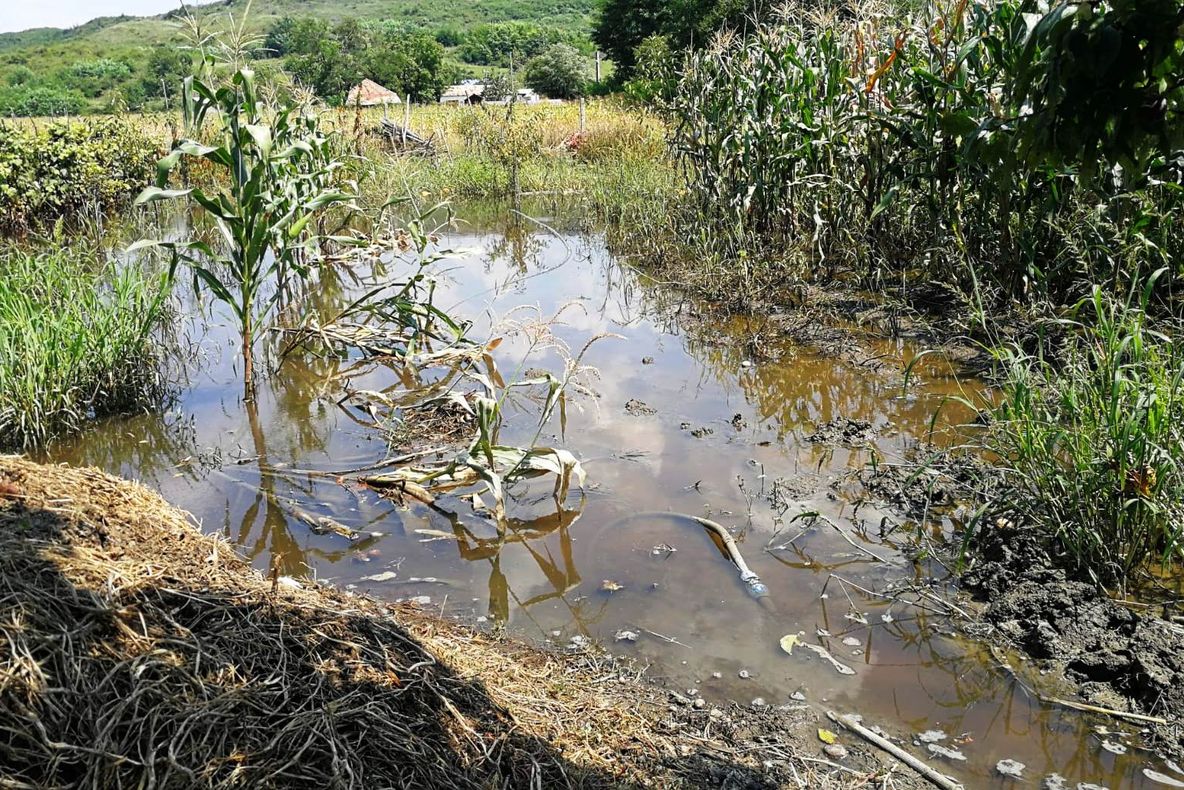 Peste 70 de gospodării din Curtişoara, afectate în continuare de apa strânsă în urma ploilor de săptămâna trecută