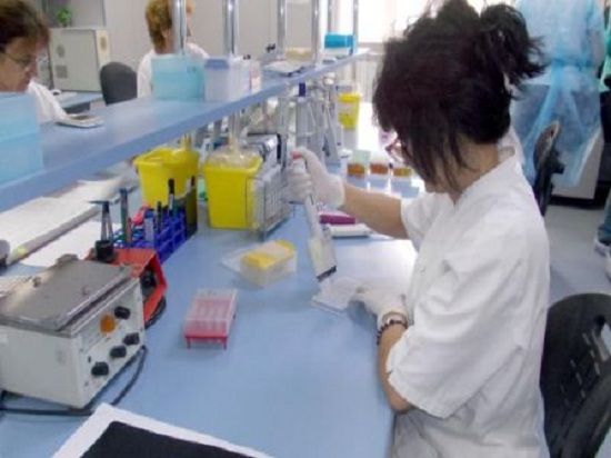 Laboratorul DSVSA Olt, undă verde pentru efectuarea de teste pentru pesta porcină
