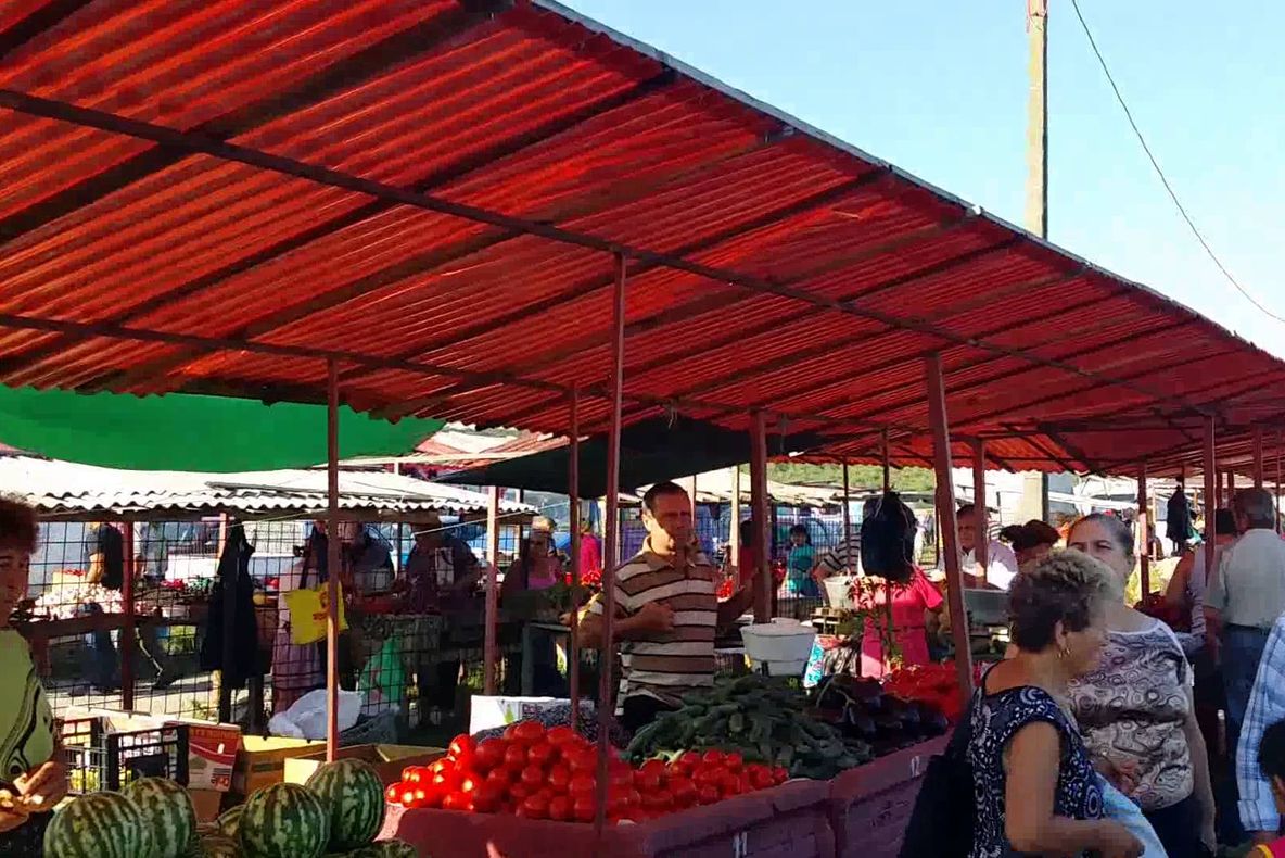 Porci nedeclaraţi în judeţul Olt, depistaţi de inspectorii DSVSA