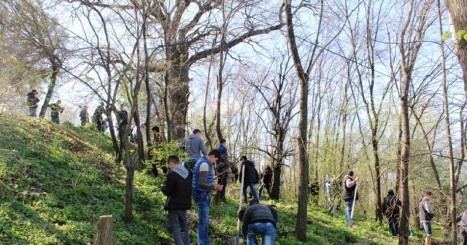 100 de arbori, plantați la Strehareți în Anul Centenarului