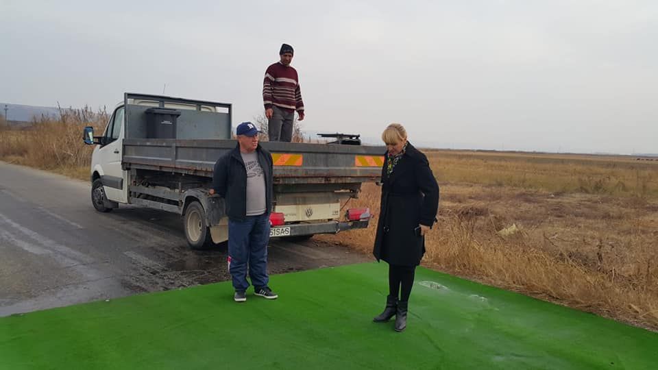 Directorul DSVSA, după primul caz de pestă din Olt: „Nu sacrificăm porcii!”