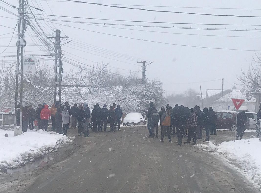 Rusănești: porcii rămân în gospodării, autoritățile sunt alertă- VIDEO