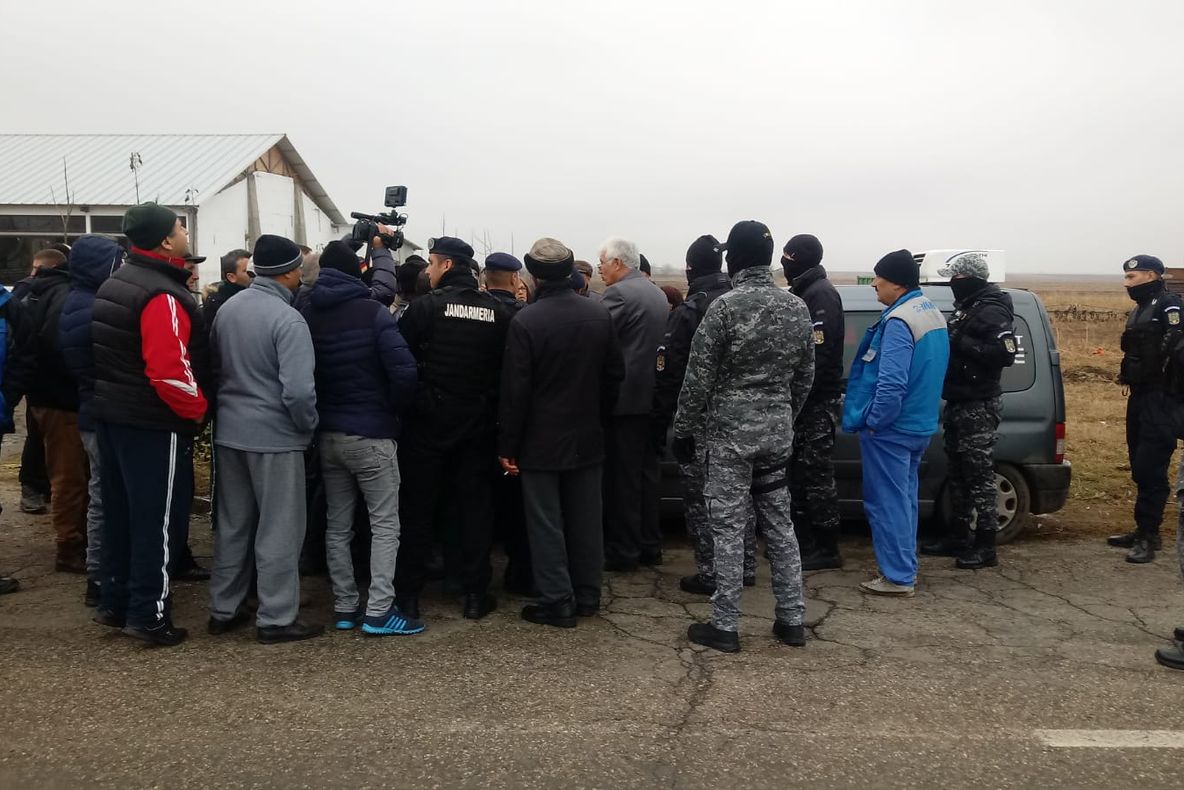 Inspectorii DSVSA care veniseră să ucidă porcii din Rusăneşti, alungaţi de locuitori