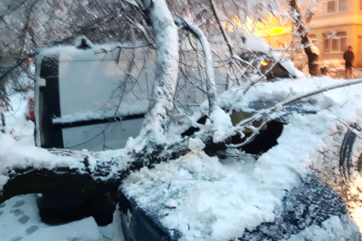 Un alt copac a căzut peste maşini parcate, în Slatina - VIDEO