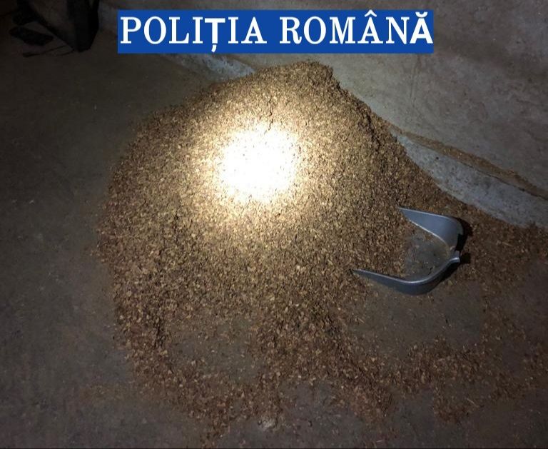 Percheziții în județul Olt. Polițiștii au descins la suspecți de comerț ilegal cu tutun prelucrat