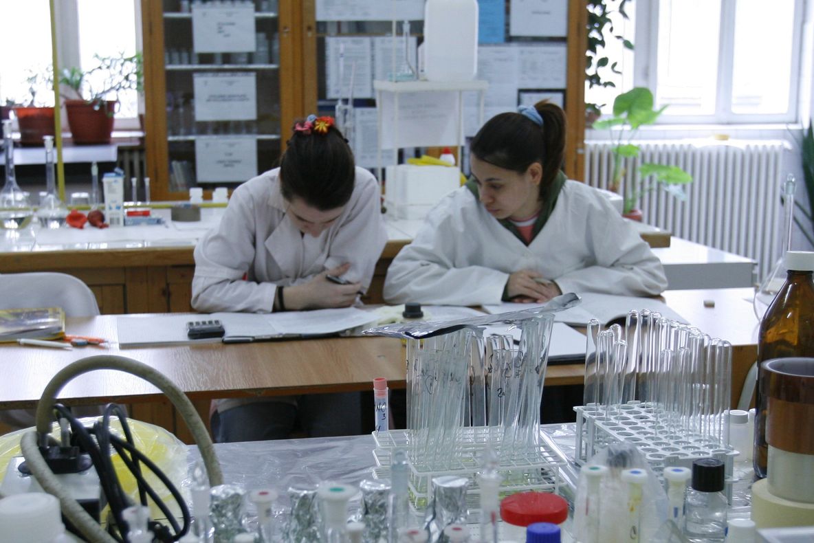 Elevii olteni s-au întors cu premii de la Olimpiada Naţională de Chimie