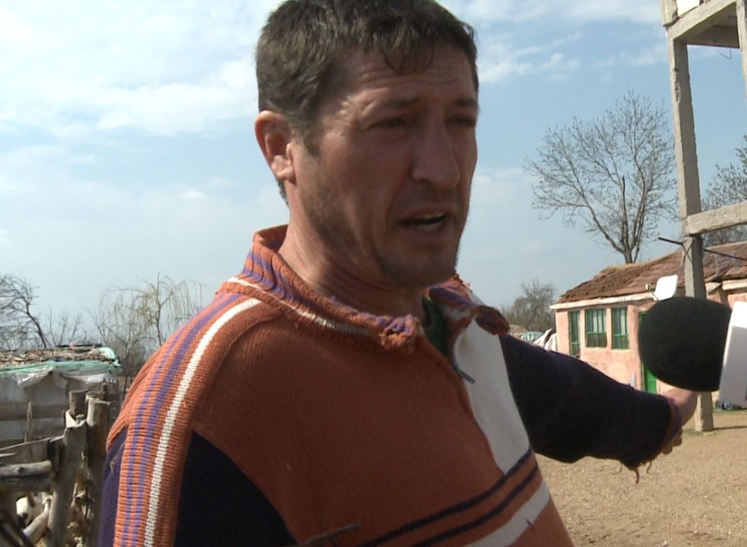 Scandal pe despăgubirea porcilor uciși Șerbănești. Proprietarul acuză veterinarii că au acționat cu întârziere/ VIDEO