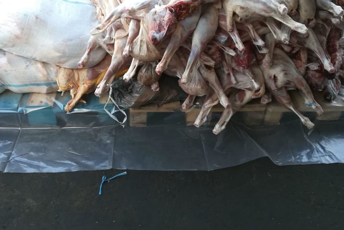 Prinși cu mașinile pline de carne de vită și miel. Sunt cercetați penal - FOTO