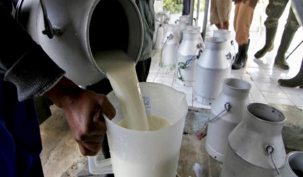 Zeci de kilograme de lactate şi brânzeturi, reținute de la comercializare, în Olt