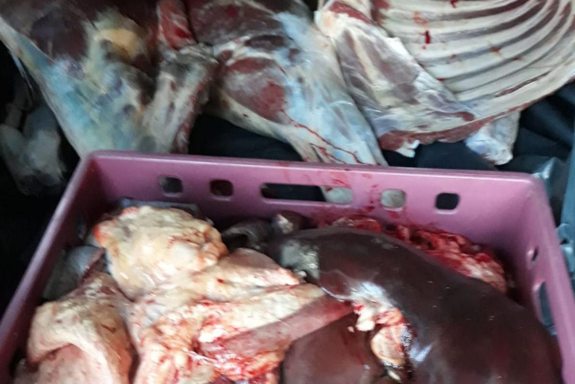 Polițiștii au găsit sute de kilograme de carne de vită la un bărbat din Seaca