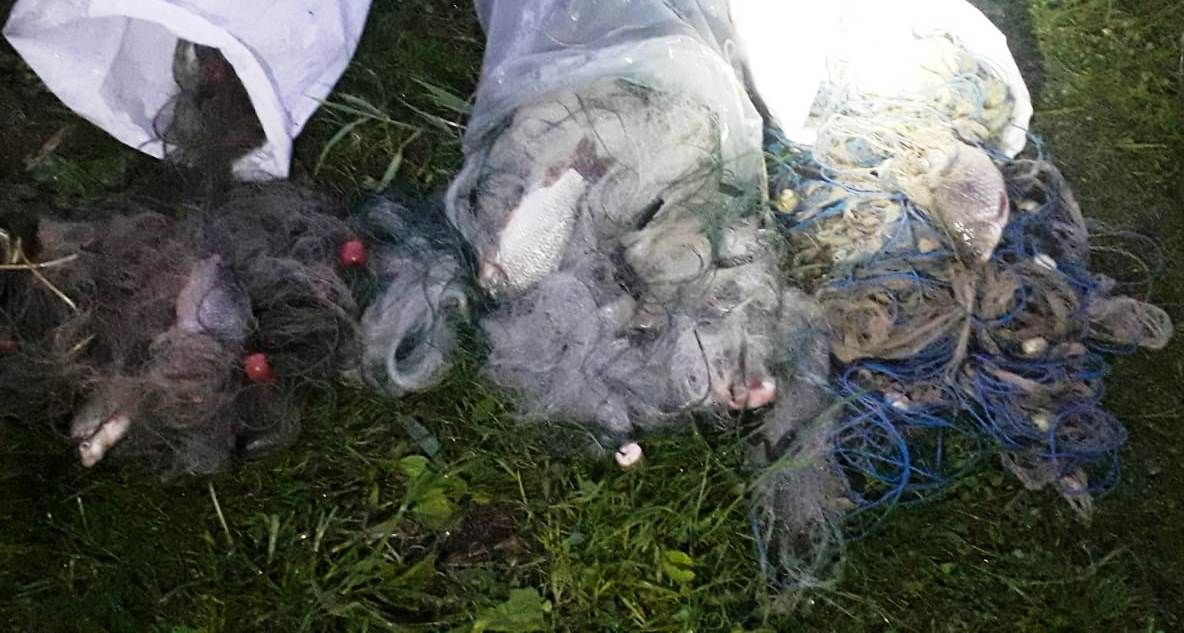 Pescuia cu barca pe Olt, în perioada prohibiţiei. Jandarmii l-au prins şi i-au făcut dosar penal - FOTO