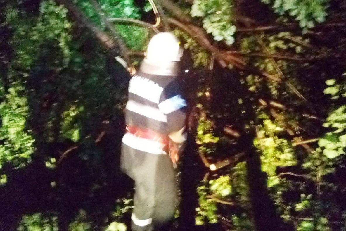 Bilanţ după furtuna de noaptea trecută din Corabia: Zeci de copaci şi stâlpi de eletricitate puşi la pământ; mare parte din oraş, fără eletricitate