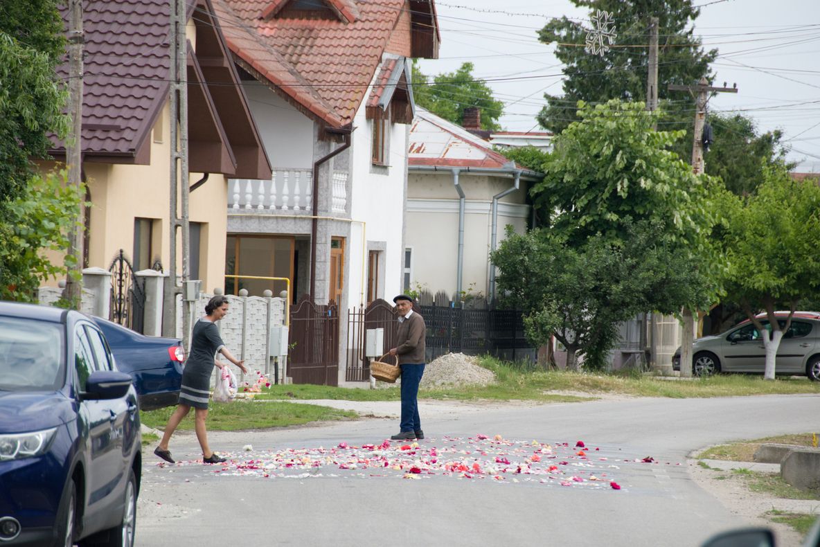 Au presărat petale de trandafir în calea episcopului. Culmea OPULENŢEI într-o comună din Olt - GALERIE FOTO