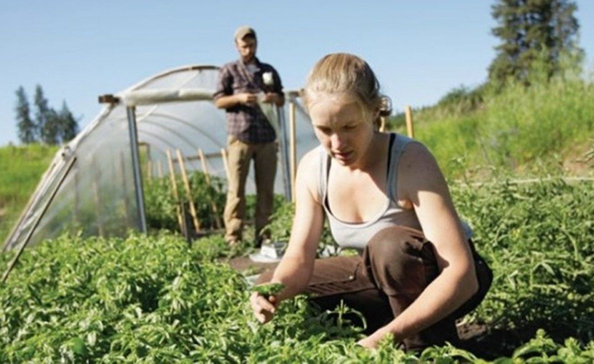 Micii fermieri din Olt, așteptați de luni că acceseze fonduri europene. Care sunt condițiile