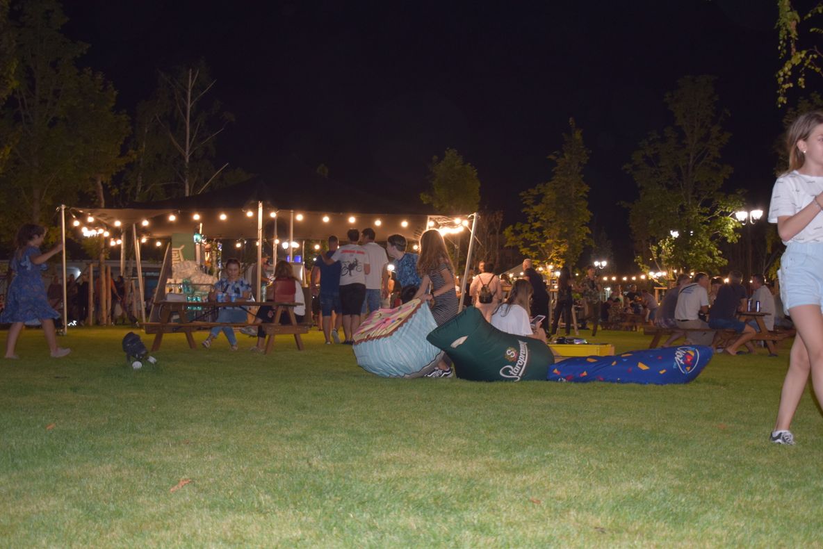 Prima seară Slatina Street Food Festival, surprinsă într-o GALERIE FOTO