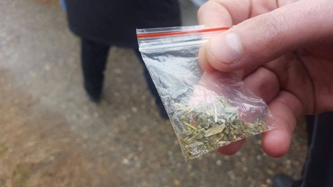 Traficanţi de droguri din Olt şi Teleorman, săltaţi de mascaţi şi procurori