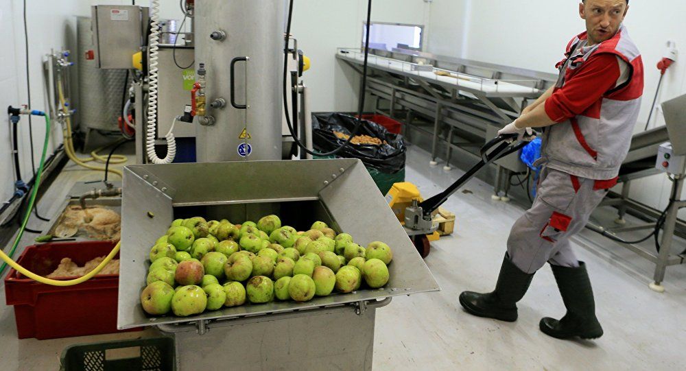 Milioane de euro, oferite fermierilor care investesc în fabrici de procesare a fructelor.