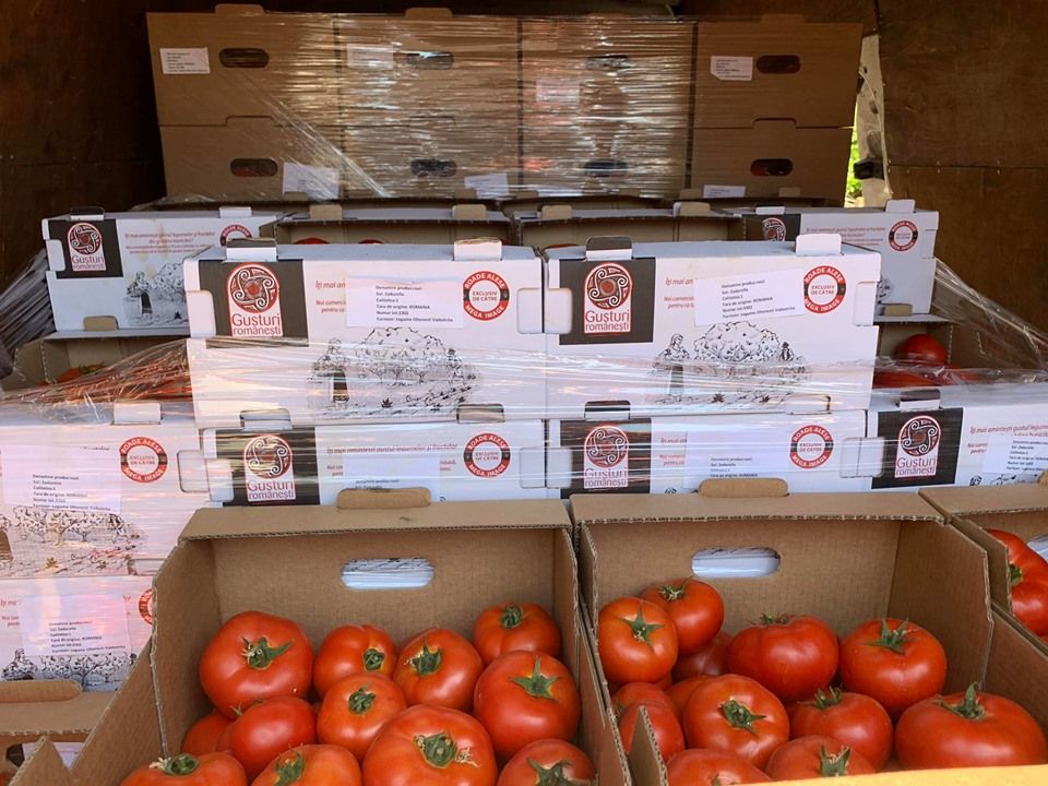 Cum au reușit mii de fermieri din Olt să obțină profit din tomate și usturoi