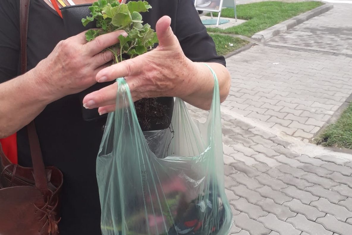 Slatina: Profesoară prinsă de poliţiştii locali furând flori din Parcul Tineretului