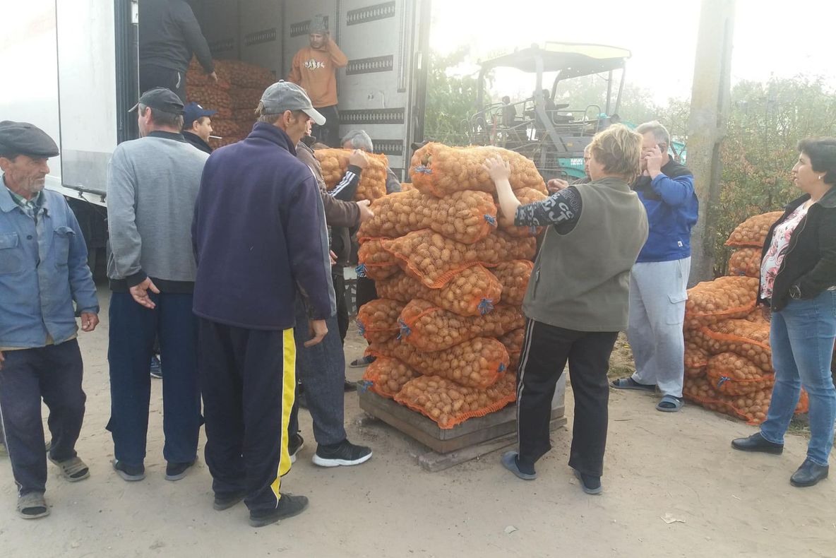 Cooperativele agricole, ajutor nesperat pentru legumicultorii olteni. Inputuri gratuite pentru mai multe culturi