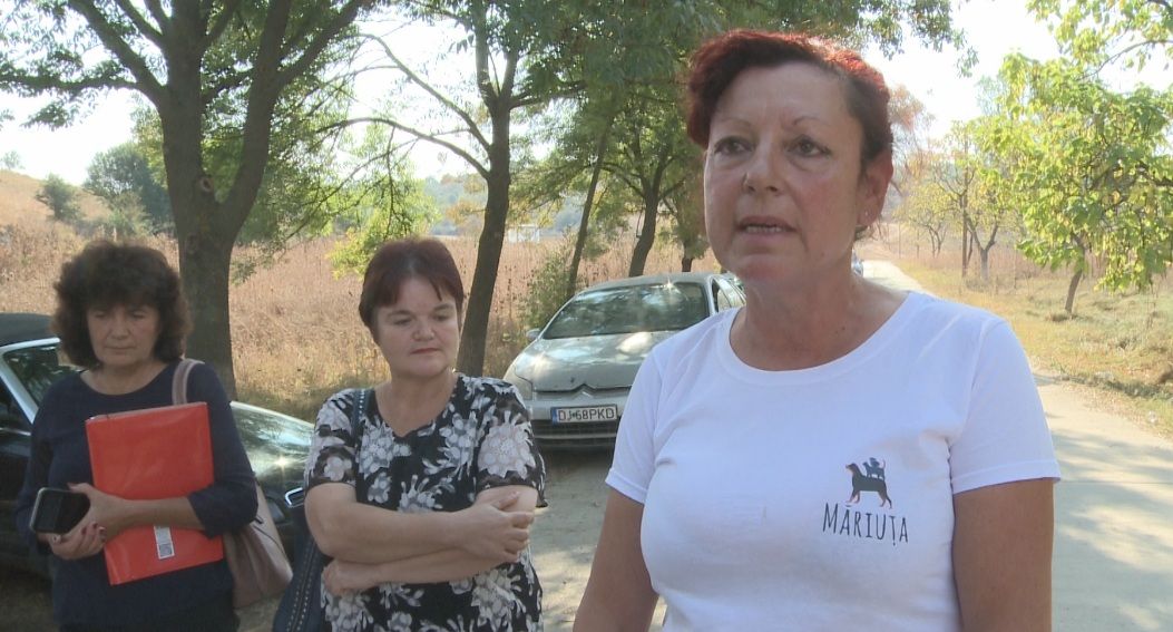 O femeie din Dolj care crește ilegal 400 de câini, în greva foamei la adăpostul de la Sărăcești