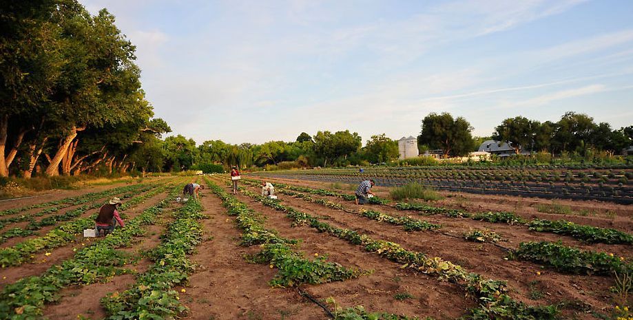 Salariile oltenilor, în continuă creștere. Cei mai câștigați sunt cei care lucrează în agricultură