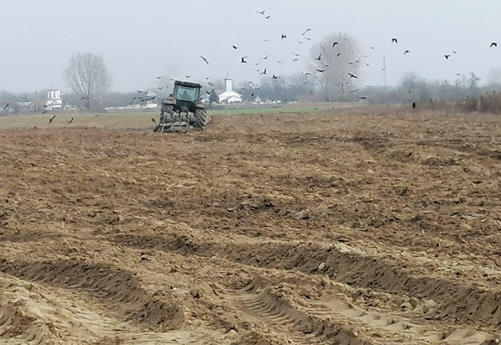 INML a stabilit vechimea oaselor găsite pe un câmp din Olt