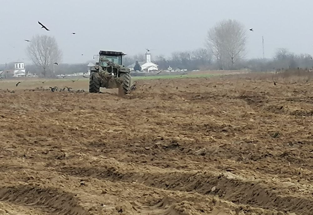 De ce cred procurorii din Olt că oasele găsite pe un câmp ar fi putut fi "plantate" acolo