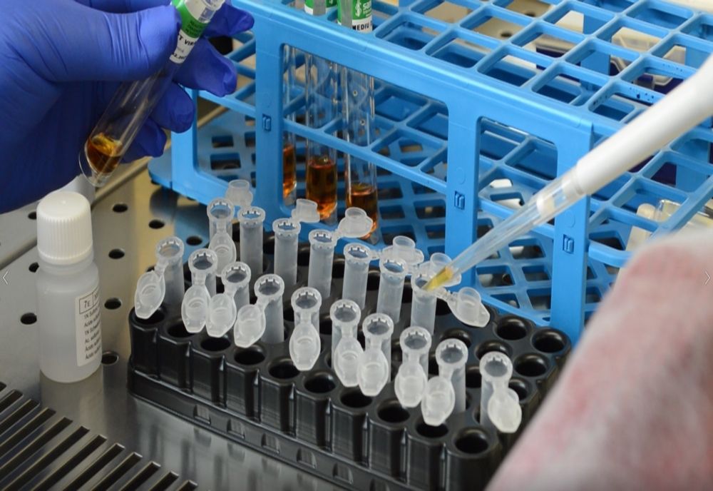 Noul laborator al Spitalui Slatina va testa pentru COVID-19 personalul medical şi pe cei din prima linie