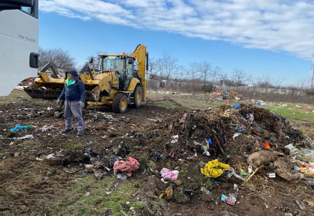 FOTO: La Caracal s-au igienizat zonele limitrofe şi primăria pregăteşte colectarea selectivă a deşeurilor