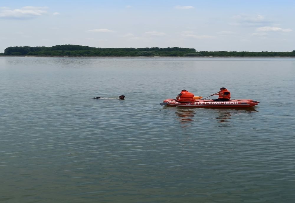 VIDEO. Un bărbat din Teleorman a murit după ce a căzut cu maşina în râul Olt, în comuna Dăneasa