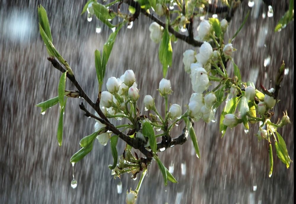 Meteorologii au prelungit, sâmbătă, avertizările meteo de vreme severă, un efect al ciclonului venit din Marea Neagră