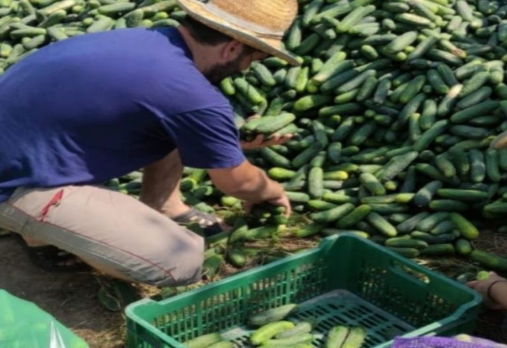 Un preot din Olt duce legumele nevândute la ferme mănăstirilor din Vâlcea, Argeș, Olt