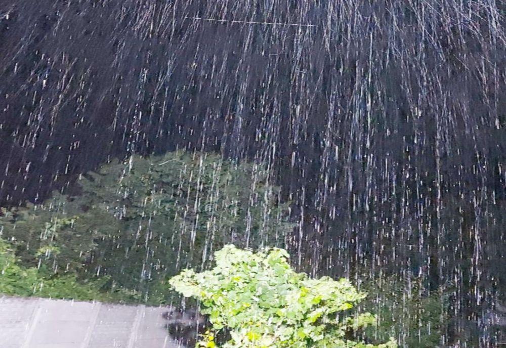 Olt: Locuinţe inundate la Slatina şi Balş, în urma ploilor de noaptea trecută