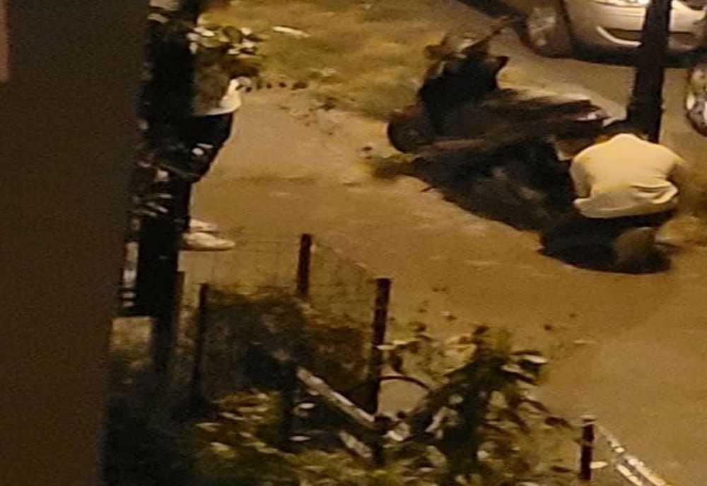 VIDEO. Furtul unui scuter de pe o stradă din Slatina, postat pe Facebook