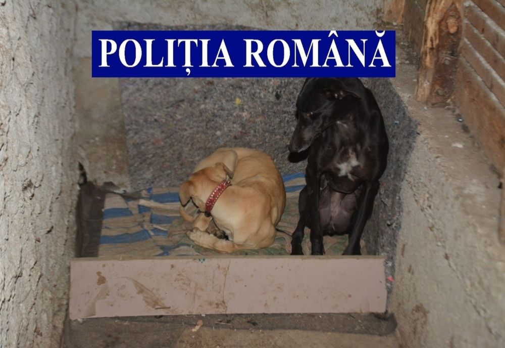 Poliţiştii au făcut nouă percheziţii la braconierii din Olt şi Teleorman. Ce au găsit