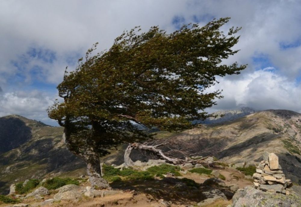 Avertizări cod portocaliu și cod galben de viscol și ninsori până luni